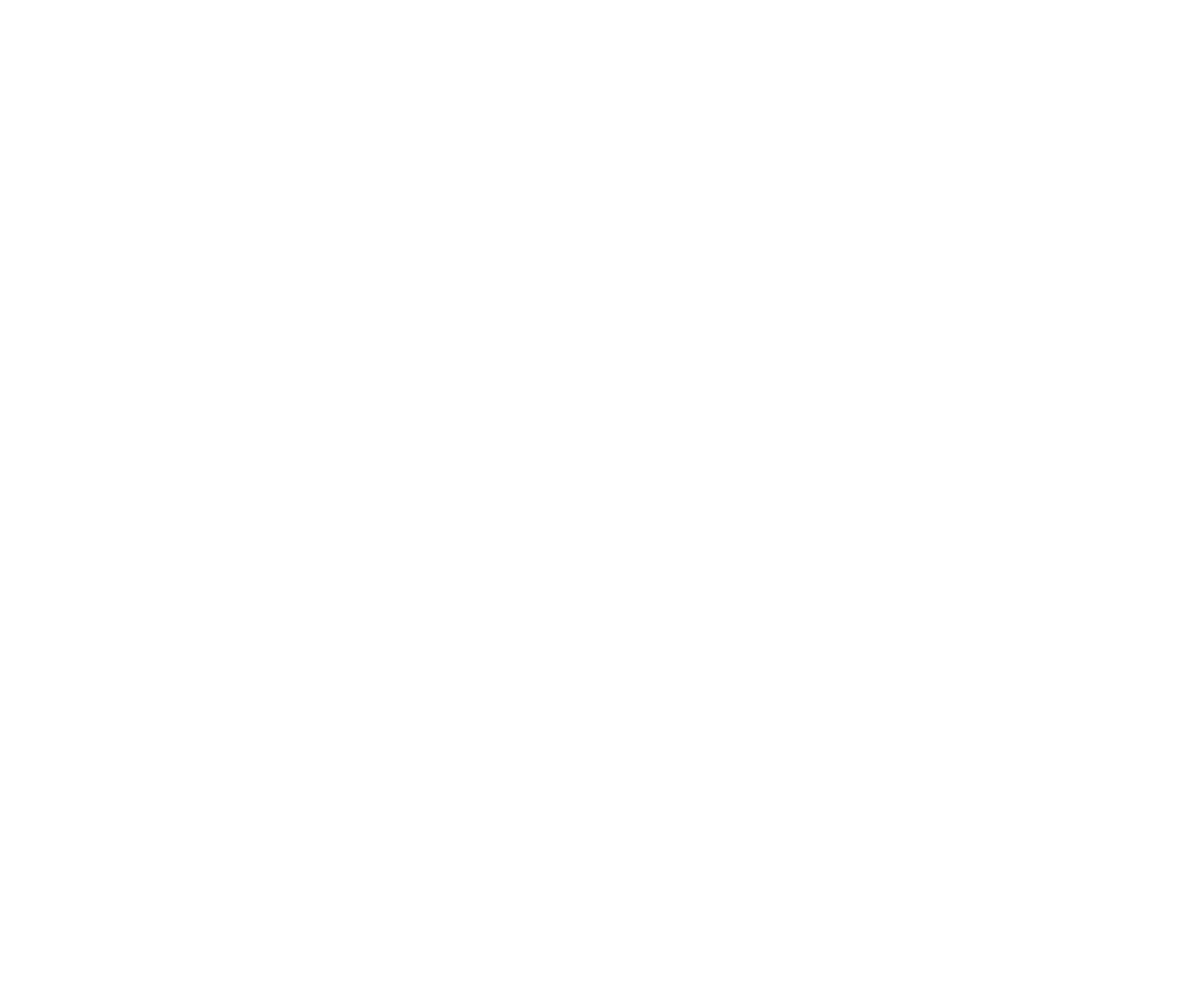 FiDi 57